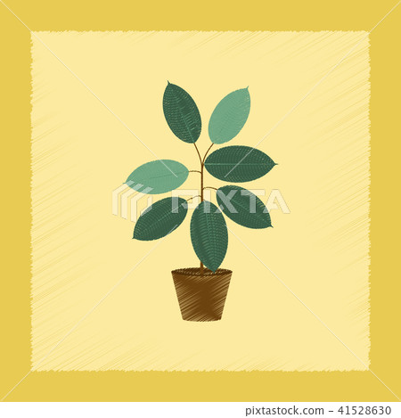 flat shading style Illustrations plant Ficus 41528630