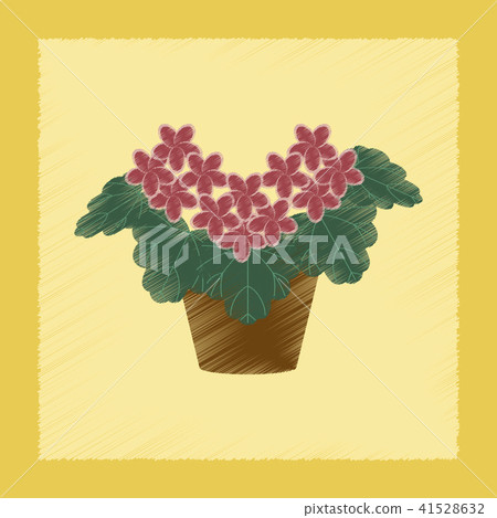 flat shading style Illustrations plant Pelargonium 41528632