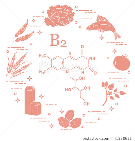 Foods rich in vitamin B2 Fish, peas and other. Foods rich in vitamin B2 Fish, peas and other. 41528651