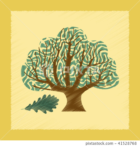 flat shading style Illustrations plant Quercus flat shading style Illustrations plant Quercus 41528768