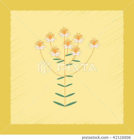 flat shading style icon wild plant Hypericum flat shading style icon wild plant Hypericum 41528806
