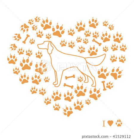 Setter silhouette on background of dog tracks and 41529112