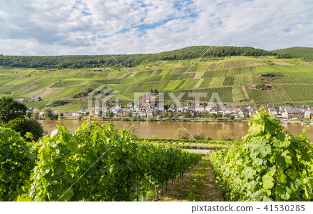 Merl on the Mosel Germany Merl on the Mosel Germany 41530285