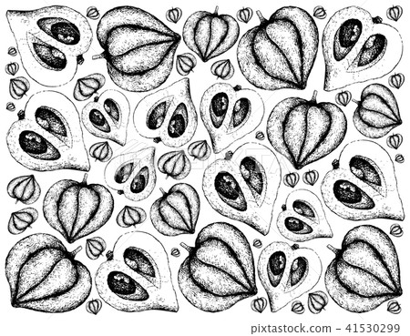 Hand Drawn Background of Canistel or Eggfruit 41530299