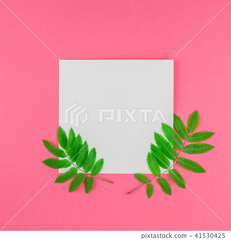 White letter mock up with fresh green leaves 41530425