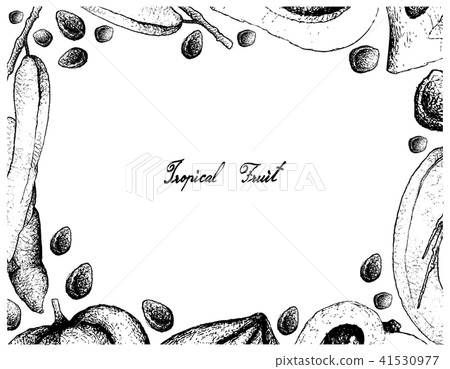 Dead Man's Fingers and Eggfruit Background 41530977