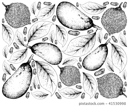 Garcinia Acuminata and Couepia Longipendula Fruits 41530998