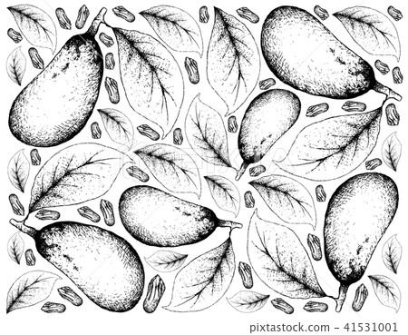 Couepia Longipendula Fruits Couepia Longipendula Fruits 41531001