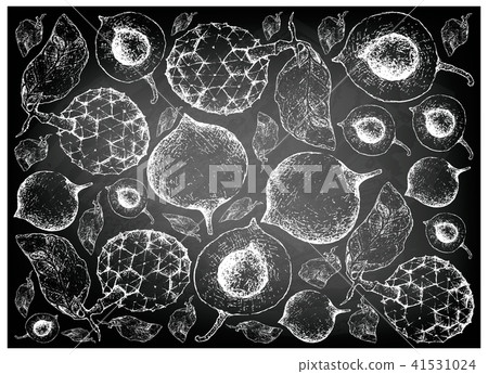 False Mangosteen and Duguetia Furfuracea Fruits 41531024