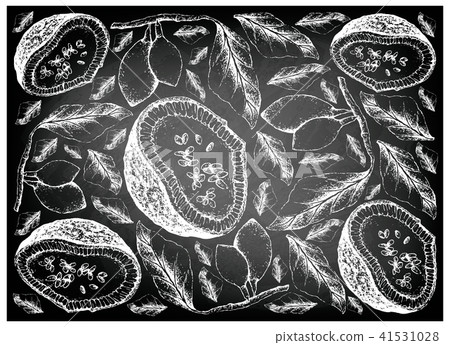 Feroniella Lucida and Curriola Fruits 41531028