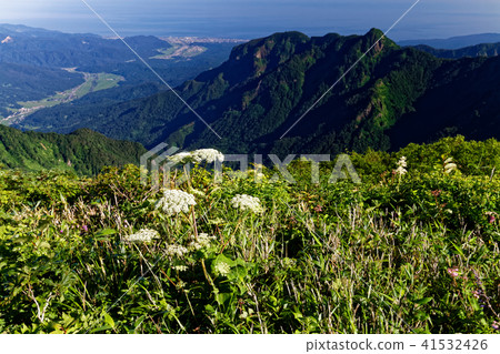 View of alpine plants and the Sea of Japan at Izumiyama 41532426