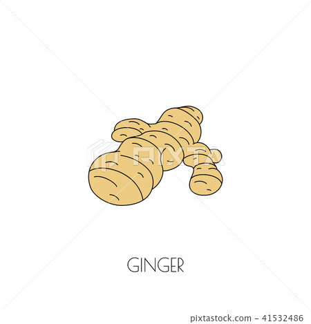Spice icon Spice icon 41532486