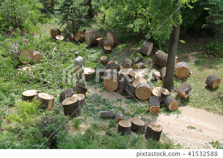 Rescuer after the hurricane Rescuer after the hurricane 41532588