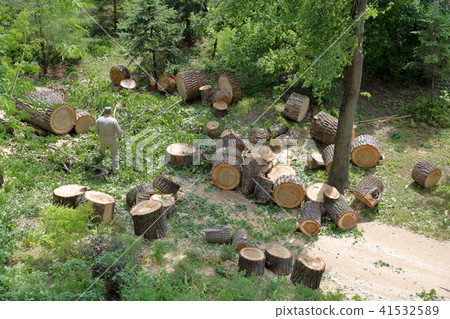 Rescuer after the hurricane 41532589