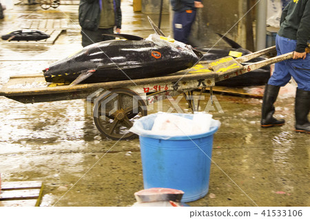 築地市場金槍魚批發地點的籃子生金槍魚 41533106
