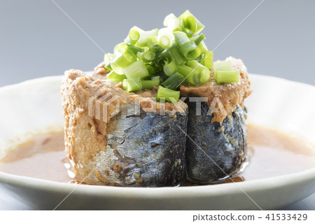 用鯖魚燜鯖魚 41533429