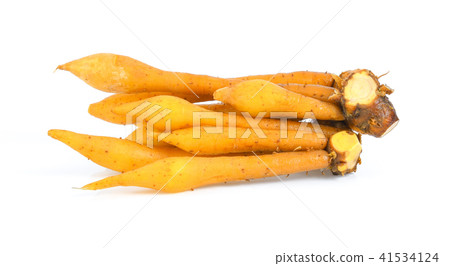 finger root (Krachai) Thai herb isolated finger root (Krachai) Thai herb isolated 41534124
