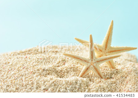 Starfish coral sand 41534483
