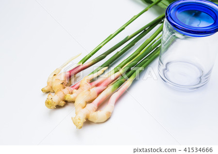 新薑加糖泡菜圖像 41534666