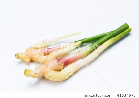 新姜 新姜 41534673