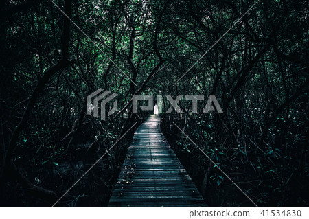 Horror scene of a scary woman. Horror scene of a scary woman. 41534830