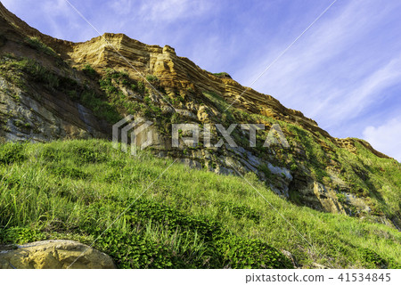 Dover of Senbogaura Oriental 41534845