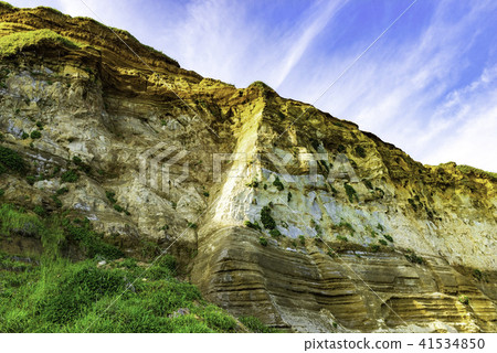 Senbogaura Oriental的Dover 41534850