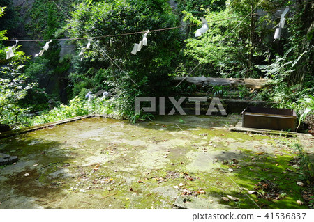 Shogun Shrine兼容神社 41536837