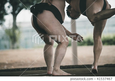 sumo, sumo wrestling, throw poor 41537467