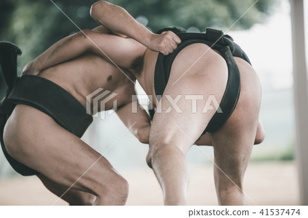 sumo, sumo wrestling, sumo wrestler's loincloth 41537474