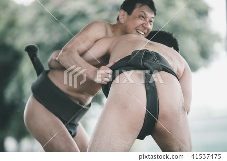 sumo, sumo wrestling, sumo wrestler's loincloth 41537475