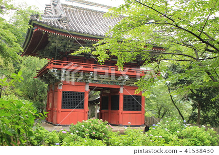 Rain snapshot sound · Niimon gate 41538430
