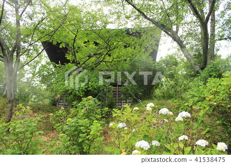 Rain snapshot sound · Hanji and Hydrangea Rain snapshot sound · Hanji and Hydrangea 41538475