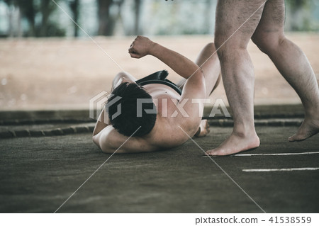 sumo, sumo wrestling, sumo wrestler's loincloth 41538559