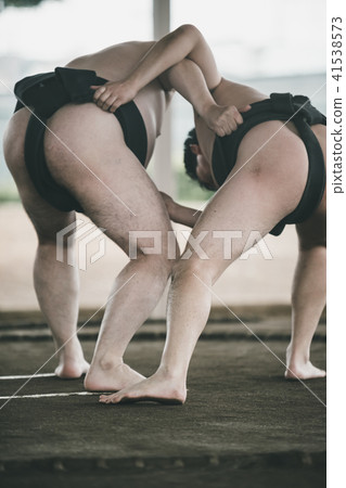 sumo, sumo wrestling, sumo wrestler's loincloth 41538573