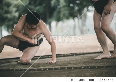 sumo, sumo wrestling, sumo wrestler's loincloth 41538578
