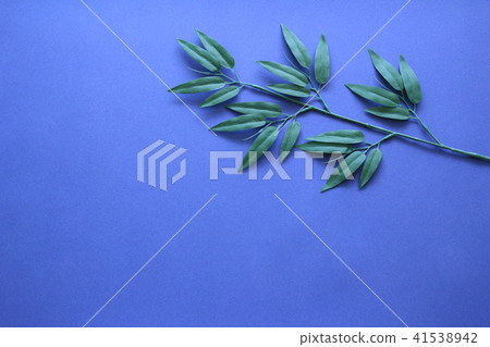 Tanabata decoration Tanabata decoration 41538942