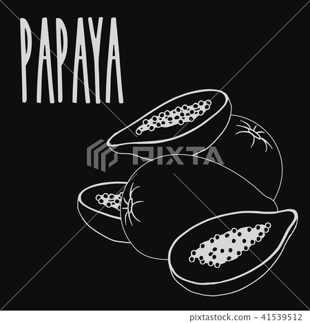 Chalkboard papaya fruit 41539512