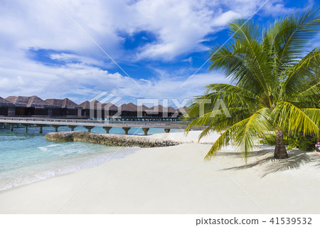 Maldives resort landscape 41539532