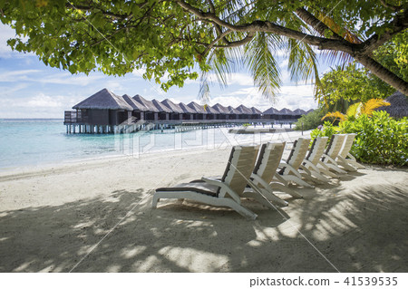 Maldives resort landscape 41539535