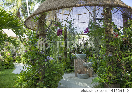 Natural landscape of Maldives 41539540