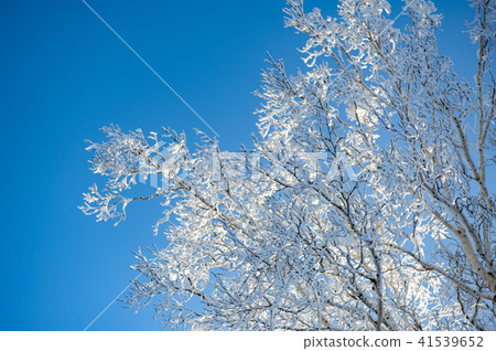 Cold winter ice 41539652