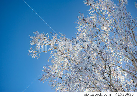 Cold winter ice 41539656