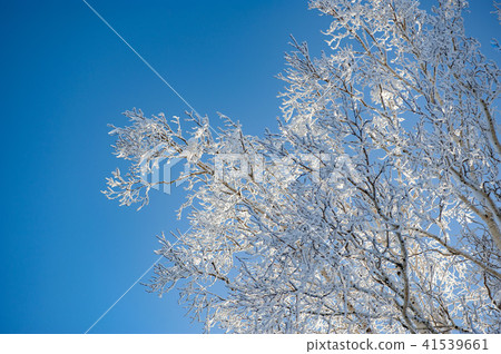 Cold winter ice 41539661