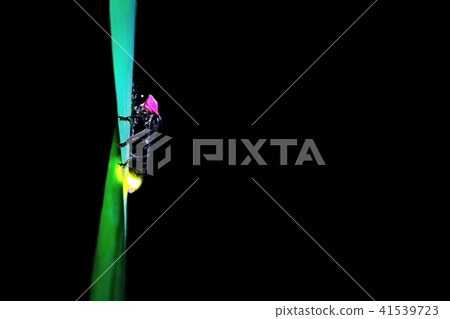 Genji firefly Genji firefly 41539723