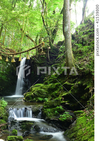 Sasayama City Fudo Falls and Moss Sasayama City Fudo Falls and Moss 41539800