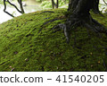 Morin Ryorin Park 41540205