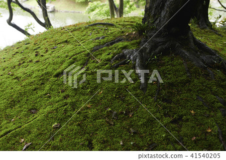Morin Ryorin Park Morin Ryorin Park 41540205