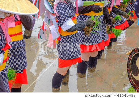 Saotome at the time of Hanada planting festival 41540482