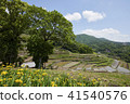 Shodoshima Nakayama Chita-da 41540576
